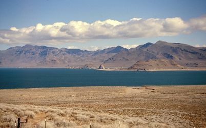 [Pyramid Lake, in Nevada.]