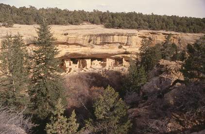 [Spruce Tree House at Mesa Verde.]