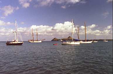 [Boats in anchorage at Rodney Bay]